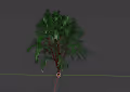 Nature 3D: plants - old