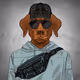Poker Dawgs Collection