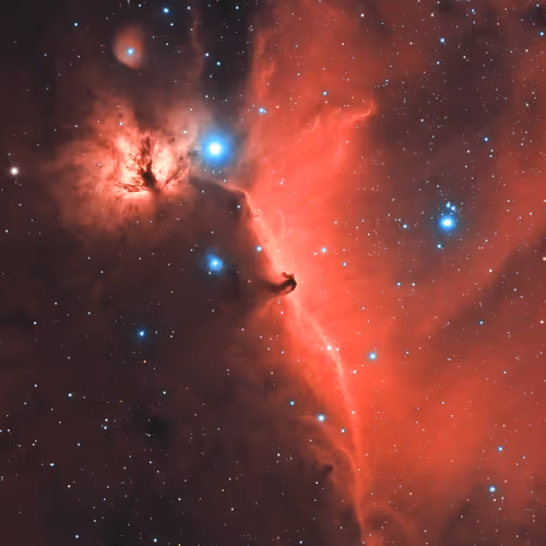 Open Editions by Mark Coull