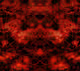 Crapula