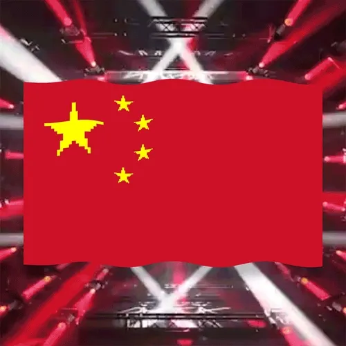 Cryptopunkace Flag BTS