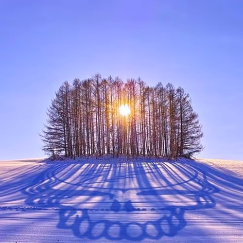 ChristoVon Collection