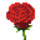 Valentine's Rose