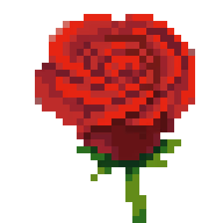 Valentine's Rose