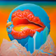 Colorful - Gallery