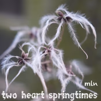 mln_I-N_art_heart-springtimes