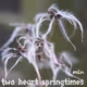 mln_I-N_art_heart-springtimes