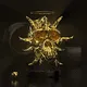 Last Animals V2