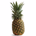 JustAnPineapple