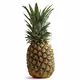 JustAnPineapple