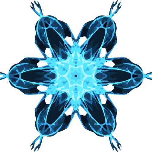 Abstractified Snowflakes