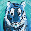 The Year of the Blue Tiger