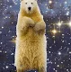 BearBearGrizly