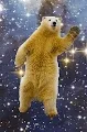 BearBearGrizly