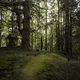 Magical Greens