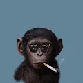 ApePunks