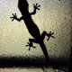 Gecko Artistry
