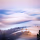 Timeless Fog x Cody Mayer edition