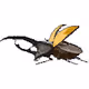 Pixel Beetles