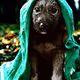 LuckysLevin7 Photo