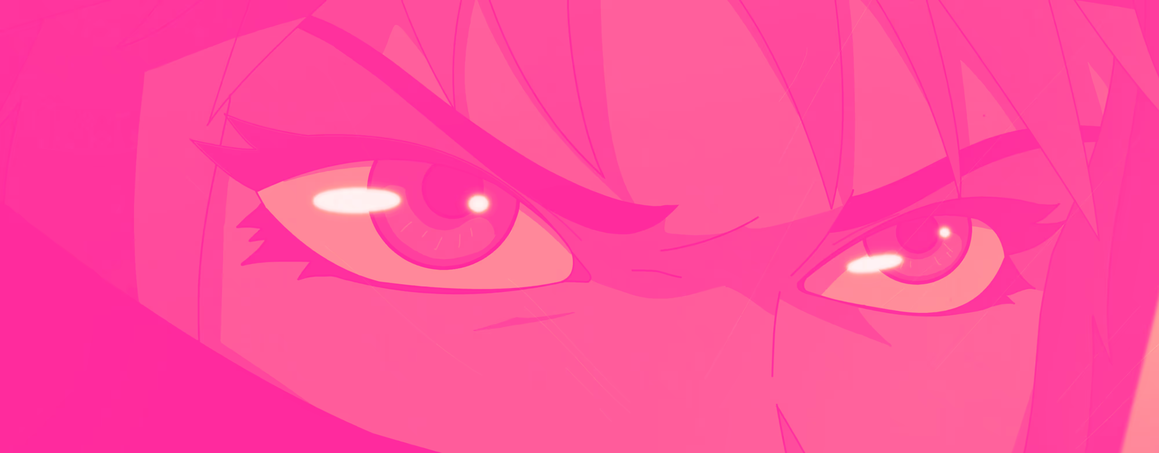 Muri banner