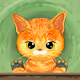 Adopt kitty please