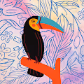 Cryptoucanz