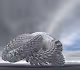 Bryan Leister - binary.white [1]