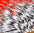 PuercoSpin