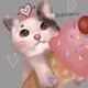 yonycat collection
