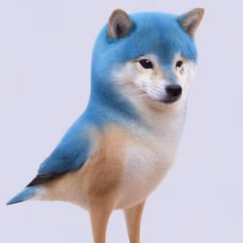 X-Musk Collection - old