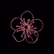 zakura