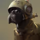 NOCYB - NOT NONLY CYBER DOGS