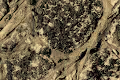 Abstract, Arts, Design
