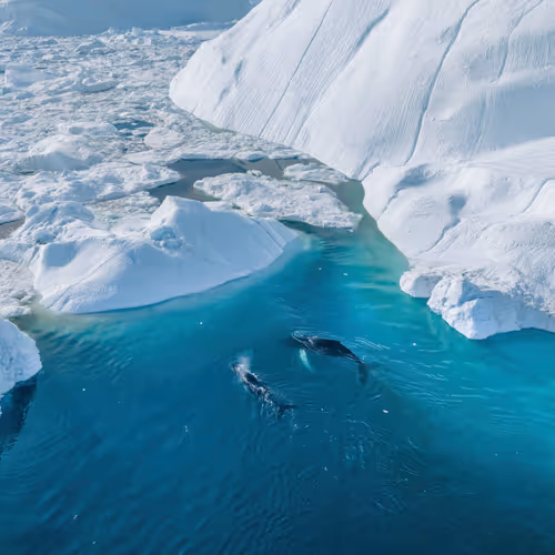 Open Skies 2 - Together