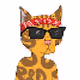Gutta Cat Gang - old