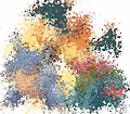 Pokemon - aDqKMKp9Id