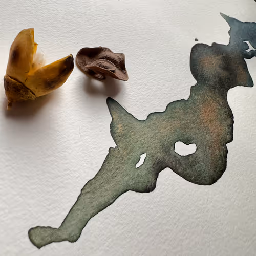 Shake and Ink