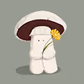 Mushrooms and Flowers