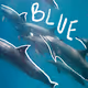 Blue: Underwater World on Film