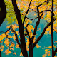 The Four Seasons of Jiuzhaigou