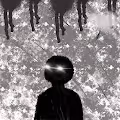 silent of dark