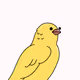 Cozy Canary Club