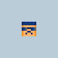 Facebits