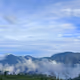 Winter Mist