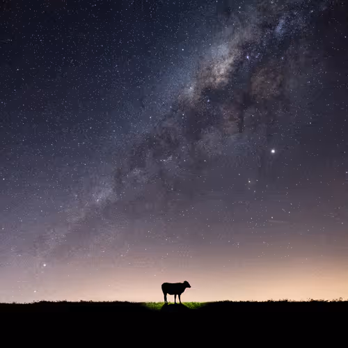 UFO sightings reports