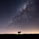 UFO sightings reports
