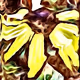 Sunflower on Fire