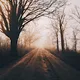 Seasonal - Bryan Minear -  A Collection of 1/1 Landscape Photography from the Midwest