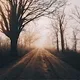 Seasonal - Bryan Minear -  A Collection of 1/1 Landscape Photography from the Midwest